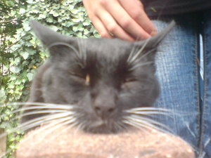 bin doch sooo mÃ¼de.jpg