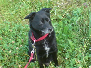 cyber-shot digi 060.jpg