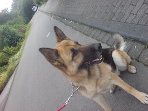 cyber-shot digi 069.jpg