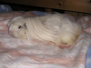 Marie&Tommy (225) (Small).JPG