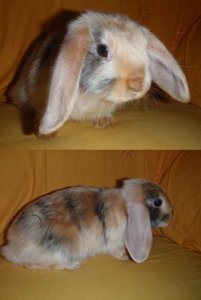 Klaus-BÃ¤rbel 1.jpg