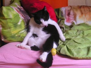 Micha08 (8) (Small).JPG