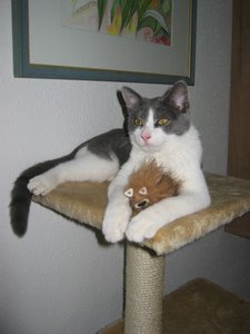 wir sind mÃ¼de.jpg