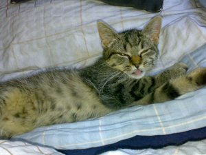 10092008360 - Kopie.jpg