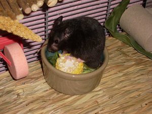 SL373458.jpg SL373458.jpg