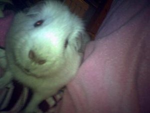 Bilder vom Handy 095.jpg