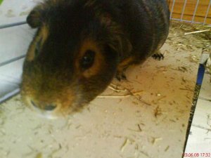 Bilder vom Handy 196.jpg