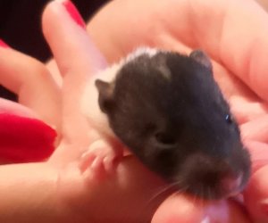 70126981_435250743757150_6371876651277484032_n - Kopie (2) - Kopie.jpg