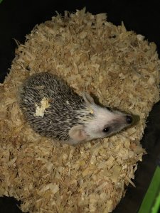 1CC64812-2C01-48B0-95FD-59A89CD14A63.jpeg 1CC64812-2C01-48B0-95FD-59A89CD14A63.jpeg