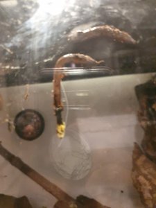 15709914464533417315522716552889.jpg 15709914464533417315522716552889.jpg