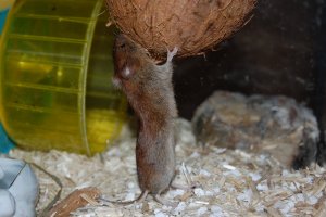 DSC_0078.JPG DSC_0078.JPG