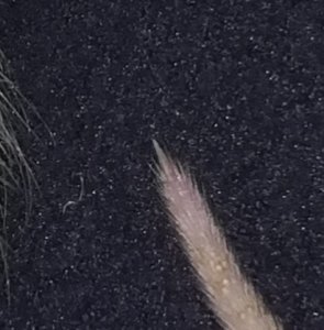 IMG_20200109_220108.jpg IMG_20200109_220108.jpg