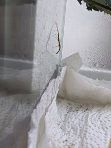 IMG_20200202_121826.jpg IMG_20200202_121826.jpg