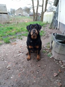 20200228_160301.jpg 20200228_160301.jpg