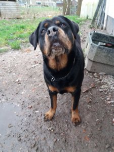 20200228_160247.jpg 20200228_160247.jpg