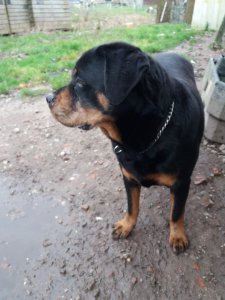 20200228_160242.jpg 20200228_160242.jpg