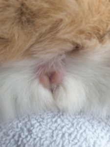 20200310_092422.jpg 20200310_092422.jpg