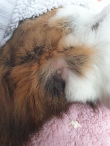 20200310_091813.jpg 20200310_091813.jpg