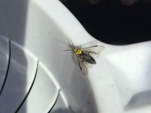 A92B3964-4CA7-4D74-9B7F-61C81997DC4A.png A92B3964-4CA7-4D74-9B7F-61C81997DC4A.png