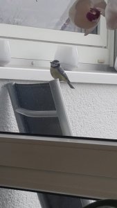 WhatsApp Image 2020-03-19 at 08.41.52.jpeg