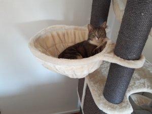 20200328_100826-2304x1728.jpg 20200328_100826-2304x1728.jpg