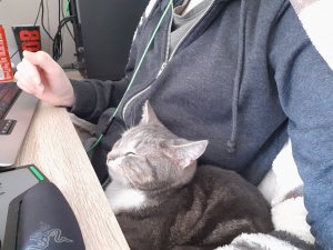 20200329_164210.jpg 20200329_164210.jpg