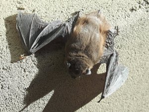 20200410_180725.jpg 20200410_180725.jpg