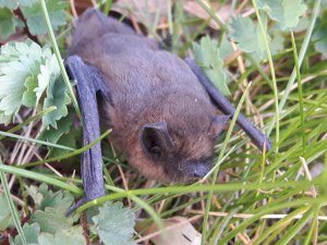 20200410_181801.jpg 20200410_181801.jpg