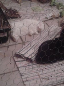 20200118_230034.jpg 20200118_230034.jpg