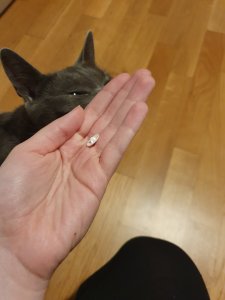 20200414_212116.jpg 20200414_212116.jpg