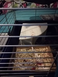 IMG_20190908_092155.jpg IMG_20190908_092155.jpg