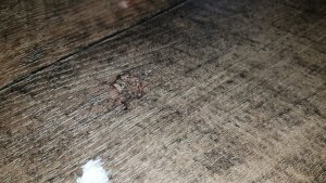 20200527_180724.jpg 20200527_180724.jpg