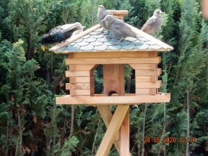 DSCN4582.JPG DSCN4582.JPG