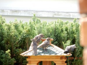 DSCN4580.JPG DSCN4580.JPG