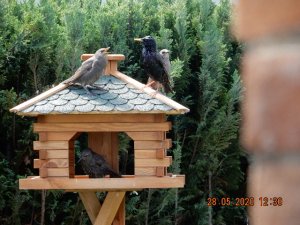 DSCN4583.JPG DSCN4583.JPG