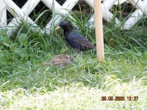 DSCN4572.JPG DSCN4572.JPG