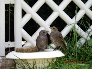 DSCN4573.JPG DSCN4573.JPG