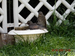 DSCN4575.JPG DSCN4575.JPG