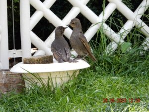 DSCN4576.JPG DSCN4576.JPG