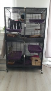 15920473072128730701040201914392.jpg 15920473072128730701040201914392.jpg