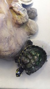 1593861818872881473323133946602.jpg 1593861818872881473323133946602.jpg