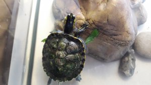 15938619622796754655883261642791.jpg 15938619622796754655883261642791.jpg