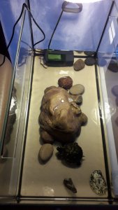 15940646540175578168993354959555.jpg 15940646540175578168993354959555.jpg