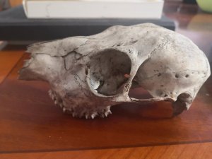 15947499256111921506237452691806.jpg 15947499256111921506237452691806.jpg