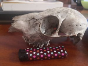 1594750318444579162162154894088.jpg 1594750318444579162162154894088.jpg