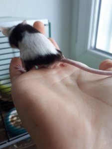 20200719_144706.jpg 20200719_144706.jpg