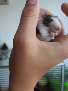 20200719_144812.jpg 20200719_144812.jpg