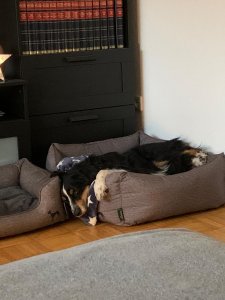 WhatsApp Image 2020-08-09 at 16.23.59.jpeg