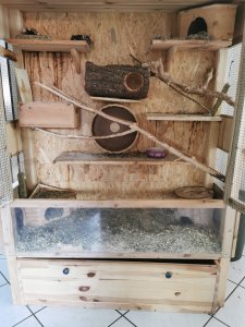 IMG_20200813_141203.jpg IMG_20200813_141203.jpg