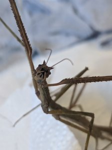 IMG_20200908_162456.jpg IMG_20200908_162456.jpg